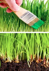 2015.0803.SmartTextilesPartIII.12.GreenWashingPaintExample