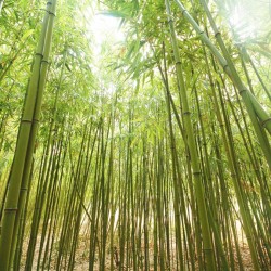 2015.0803.SmartTextilesPartIII.11.GreenWashingExample