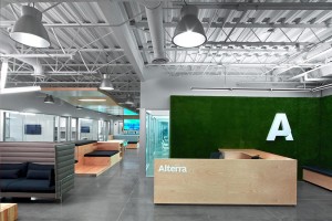 2015.0831.TomDirenzo5.Alterra