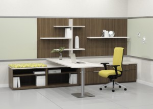 National_Exhibit_shelves