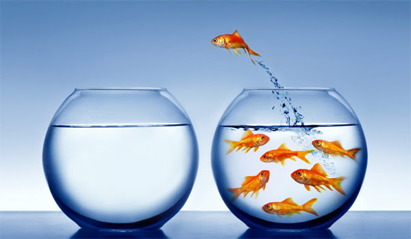 CHD Changemaker Award