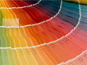 Event.IIDA IL.Specifying Paint