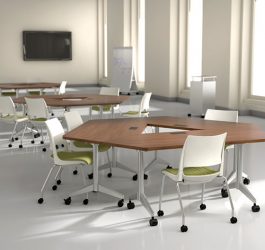 Dōni and Pirouette in typical classroom application.