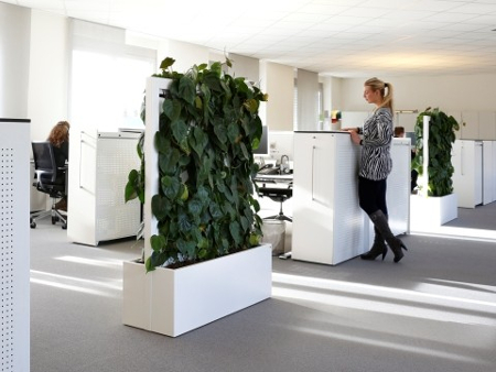 SONIC WALL Climate Control-humidification and Greening System