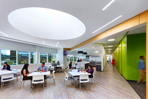 Kitchen and dining / work lounge