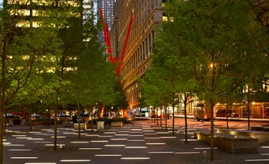 CooperRobertson_ZuccottiPark