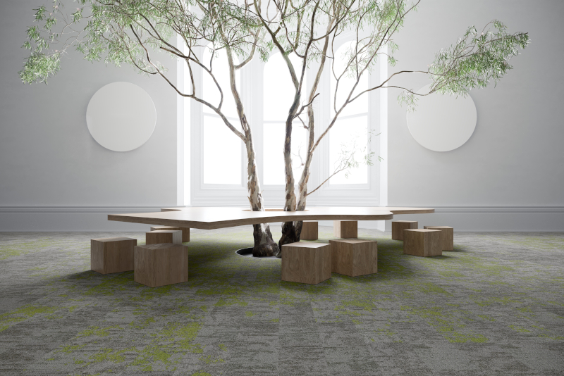Mohawk Group bolsters their Beyond Carbon-Neutral portfolio with the ...