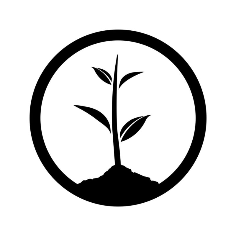 Bluebeam Partners with One Tree Planted to Plant 10,000 Trees Across ...